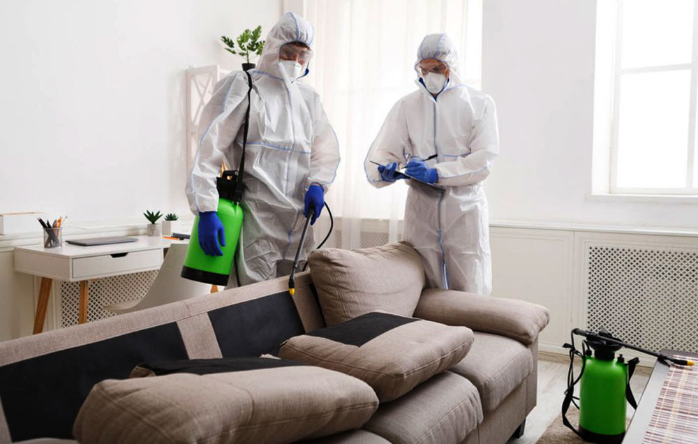 How To Prepare For An Exterminator