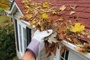 How to Clean and Maintain Rain Gutters